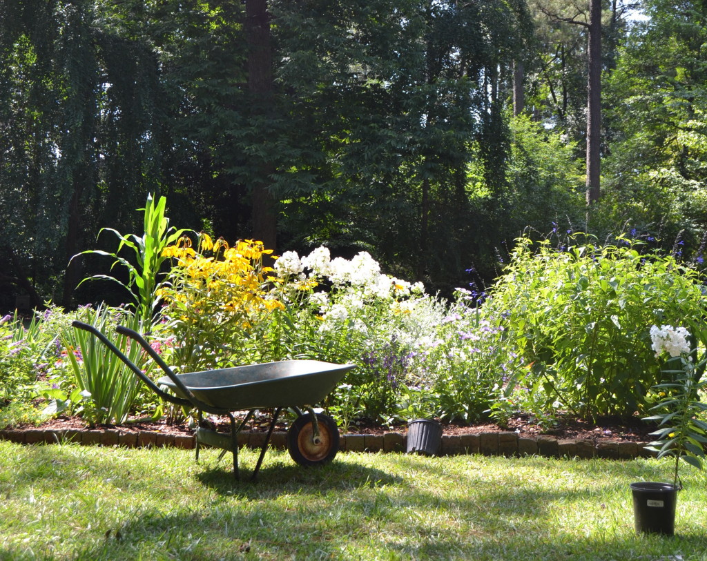 wheelbarrow in front of flowerbeds