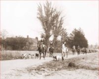 Horses hounds and old cars from Southern Pines Welcome Center archives